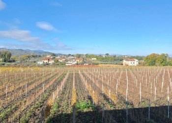 Foto 39 - Casa semi indipendente Contrada Sant'Andrea
 
13, Paternopoli - foto 39