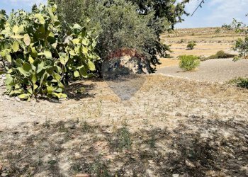 Giardino - Rustico Contrada San Martino
 
snc, Ragusa - foto 6