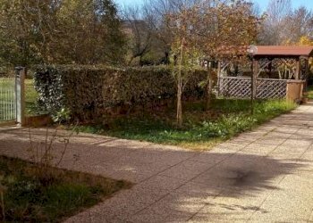 Terreno - Appartamento Ravarino - foto 3