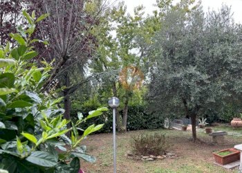 Giardino - Quadrilocale Barchi, Terre Roveresche - foto 18