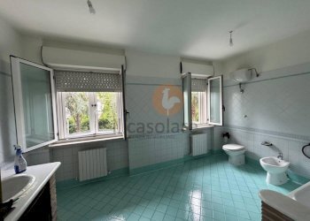 Bagno - Four-room apartment Barchi, Terre Roveresche - photo 33