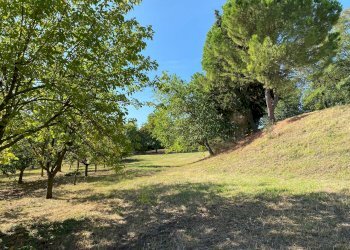 Foto 12 - Villa Via Ciola, Castrocaro Terme e Terra del Sole - foto 12