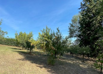 Foto 13 - Villa Via Ciola, Castrocaro Terme e Terra del Sole - foto 13