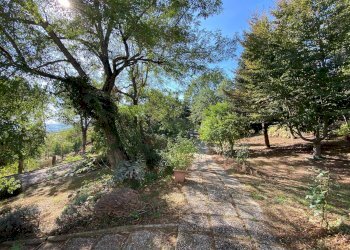 Foto 23 - Villa Via Ciola, Castrocaro Terme e Terra del Sole - foto 23