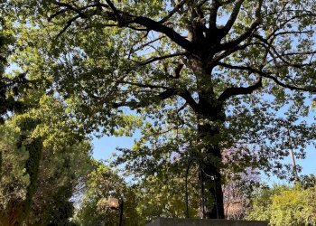 Foto 26 - Villa Via Ciola, Castrocaro Terme e Terra del Sole - foto 26