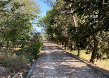 Foto 28 - Villa Via Ciola, Castrocaro Terme e Terra del Sole - foto 28