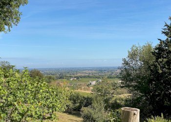 Foto 34 - Villa Via Ciola, Castrocaro Terme e Terra del Sole - foto 34