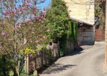 Zona - Rustico Ottiglio - foto 13