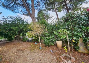 img-20251128-wa0010 - Villa a Schiera Agugliano - foto 3