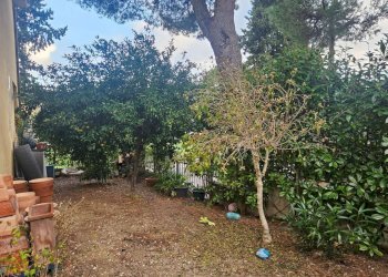 img-20251128-wa0012 - Villa a Schiera Agugliano - foto 4