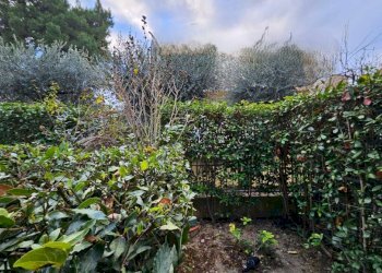 img-20251128-wa0007 - Villa a Schiera Agugliano - foto 5