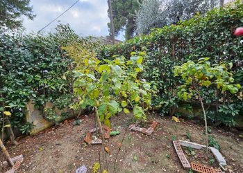 img-20251128-wa0011 - Villa a Schiera Agugliano - foto 6