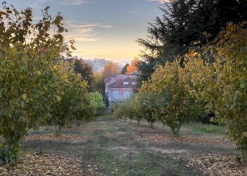 Terreno - Villa Località Vallarone, 148, Asti - foto 17