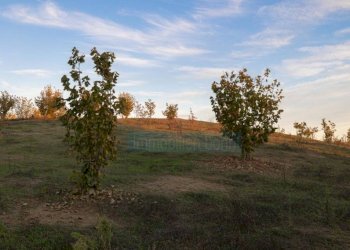 Terreno - Villa Località Vallarone, 148, Asti - foto 18