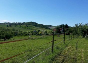 Terreno - Rustico via Torino, 46, Castelletto Merli - foto 25