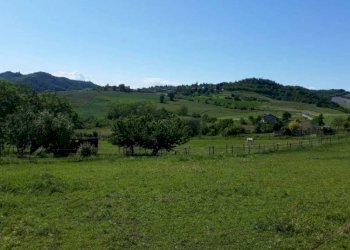 Terreno - Rustico via Torino, 46, Castelletto Merli - foto 26