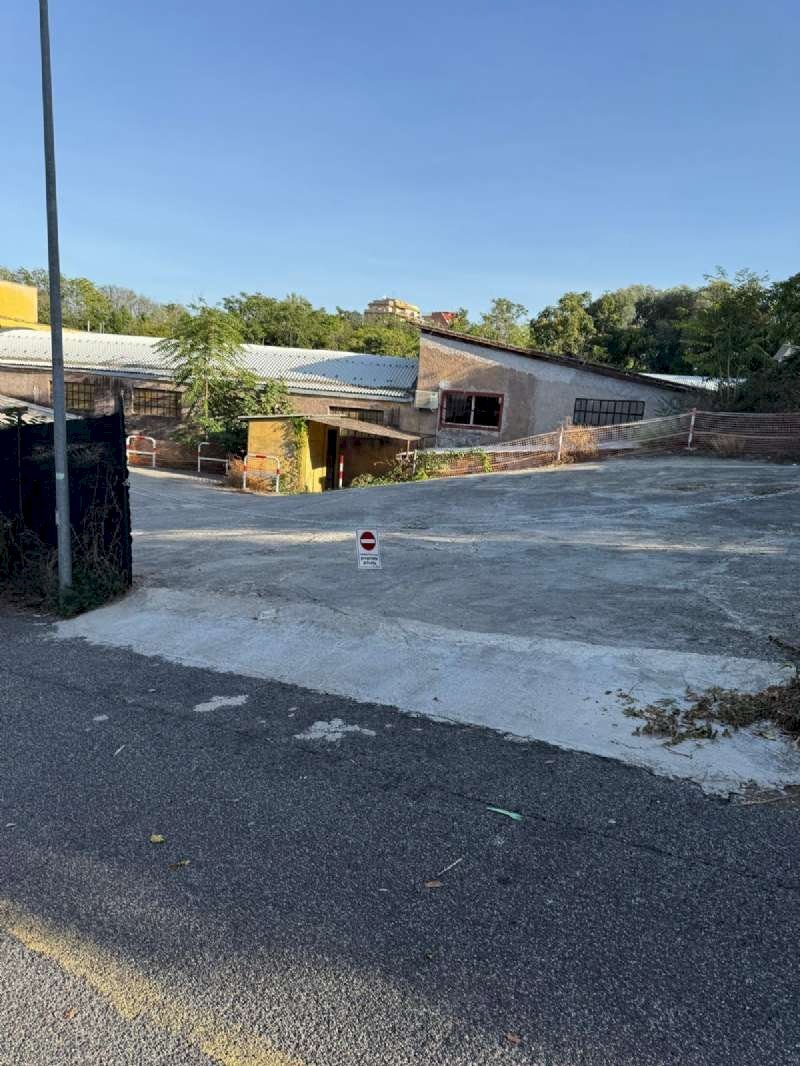 immagine whatsapp 2025-11-28 ore 08.36.53_5196fced - Capannone via mesula, Roma - foto 3