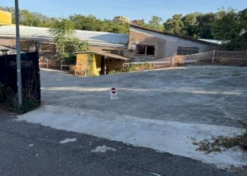 immagine whatsapp 2025-11-28 ore 08.36.53_5196fced - Capannone via mesula, Roma - foto 3