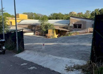 immagine whatsapp 2025-11-28 ore 08.36.53_cb251877 - Capannone via mesula, Roma - foto 4