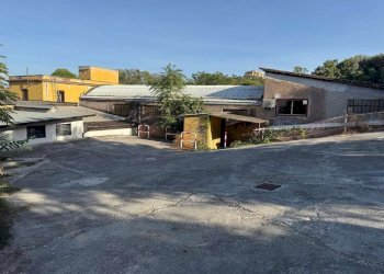 immagine whatsapp 2025-11-28 ore 08.36.56_715e0330 - Capannone via mesula, Roma - foto 14