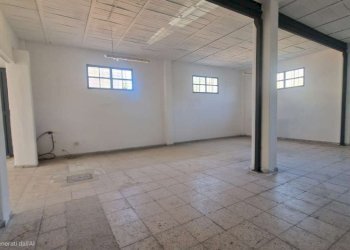 immagine whatsapp 2025-11-28 ore 08.36.57_6a25bcd6 - Capannone via mesula, Roma - foto 16