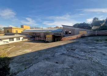 immagine whatsapp 2025-11-28 ore 08.36.59_bbff0468 - Capannone via mesula, Roma - foto 26