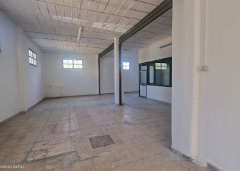 immagine whatsapp 2025-11-28 ore 08.36.59_cbce1afa - Capannone via mesula, Roma - foto 27