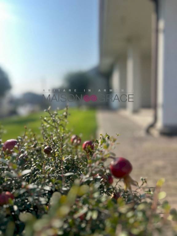 Giardino - Villa strada Guarene, 15, Alba - photo 3