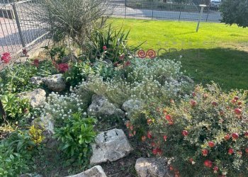Terreno - Villa strada Guarene, 15, Alba - photo 2