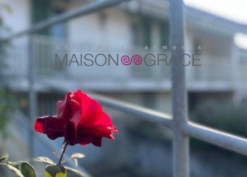 Altro - Villa strada Guarene, 15, Alba - foto 17