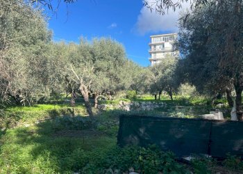 1.jpg - Agricultural land Siracusa - photo 1