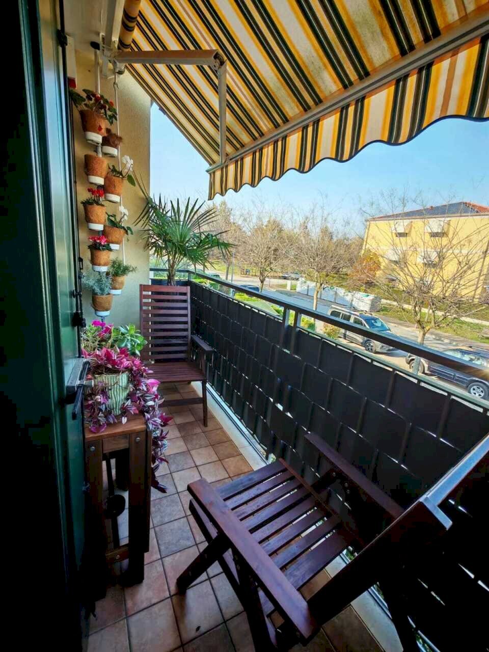 IMG-20251113-WA0004.jpg - Quadrilocale Via Sant'Ilario, Mira - foto 2