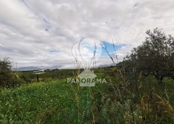 Terreno edificabile B&B falconeria, Partinico - foto 1