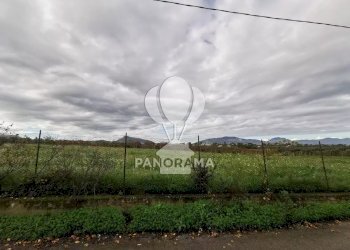 Terreno edificabile B&B falconeria, Partinico - foto 2