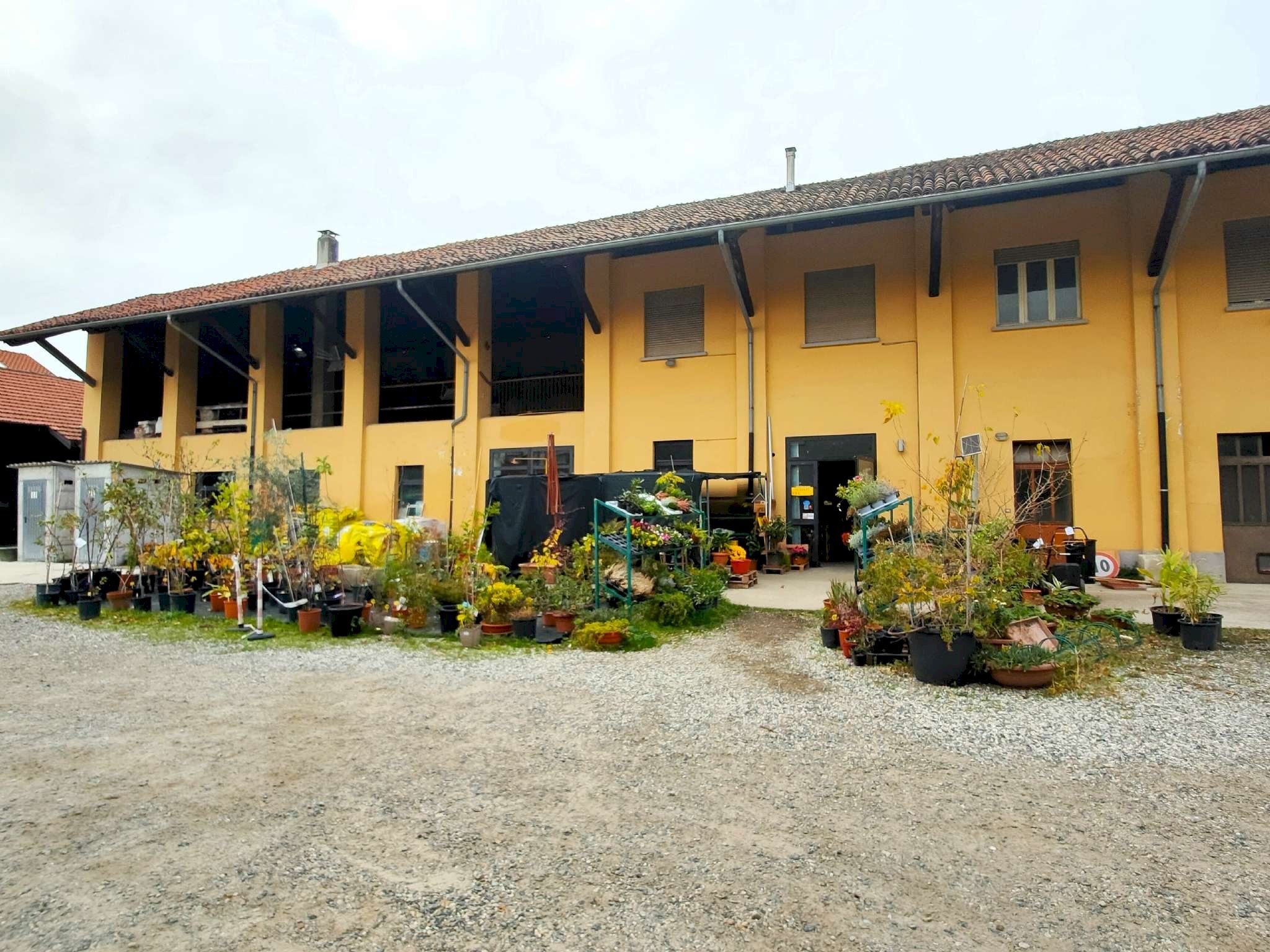 1_1 - Plants and Flowers via Generale Perotti, Grugliasco - photo 1