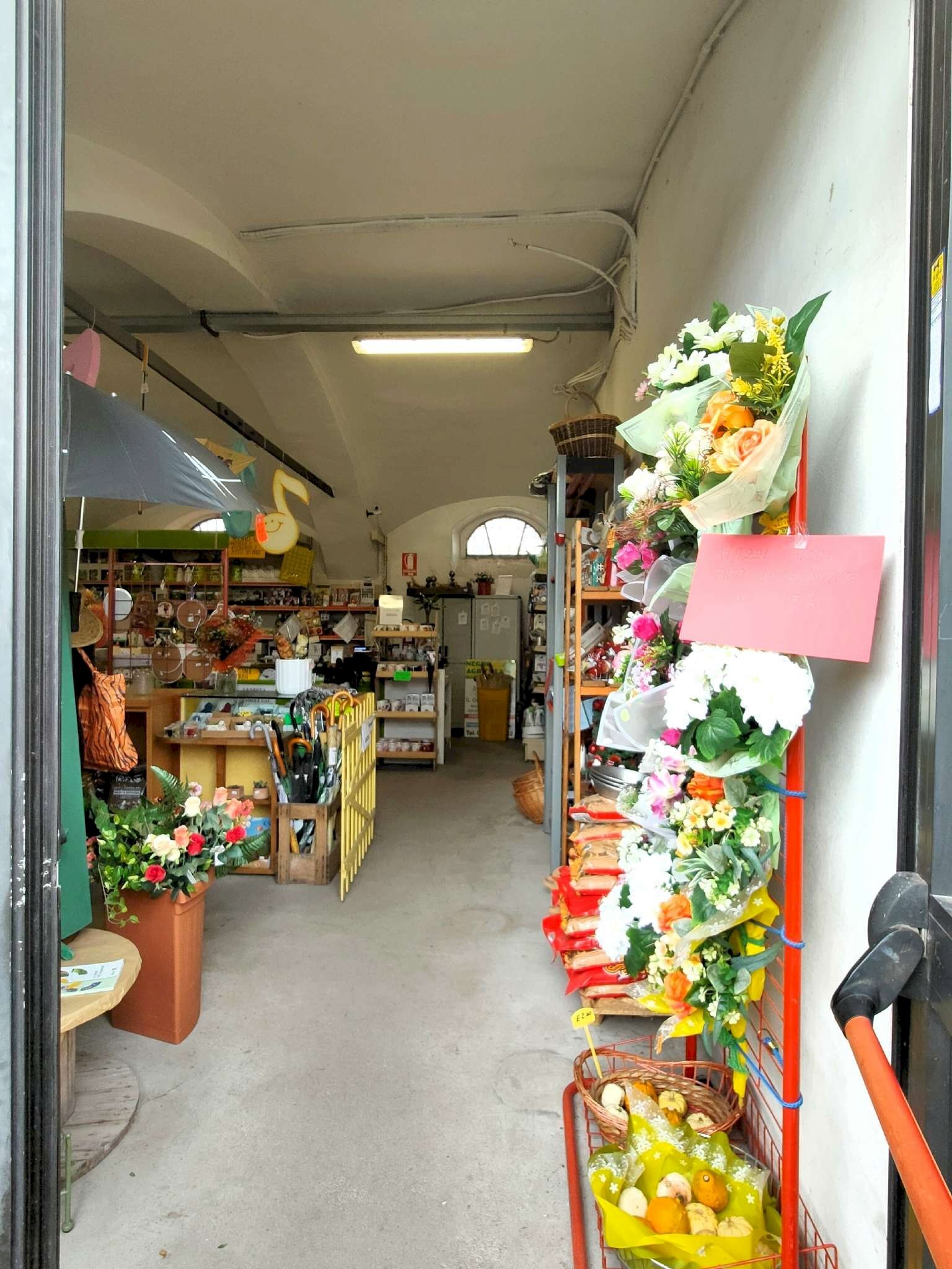 2_1 - Plants and Flowers via Generale Perotti, Grugliasco - photo 3