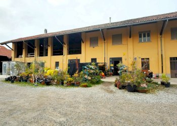 1_1 - Piante e Fiori via Generale Perotti, Grugliasco - foto 1