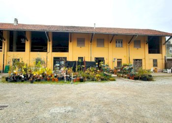 1_2 - Piante e Fiori via Generale Perotti, Grugliasco - foto 2