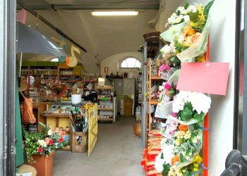 2_1 - Piante e Fiori via Generale Perotti, Grugliasco - foto 3