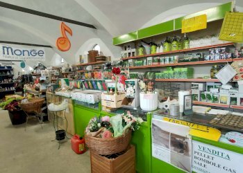 2_2 - Piante e Fiori via Generale Perotti, Grugliasco - foto 4