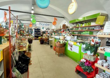 2_3 - Piante e Fiori via Generale Perotti, Grugliasco - foto 5