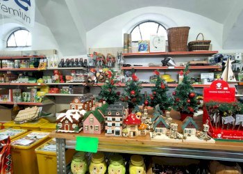 2_5 - Piante e Fiori via Generale Perotti, Grugliasco - foto 7