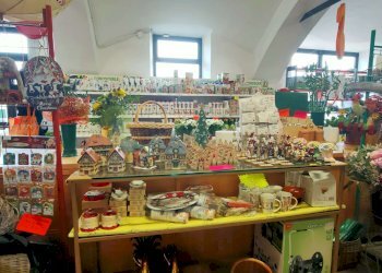 2_6 - Piante e Fiori via Generale Perotti, Grugliasco - foto 8