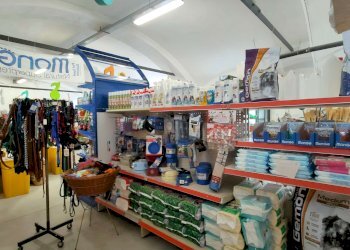 2_8 - Piante e Fiori via Generale Perotti, Grugliasco - foto 9