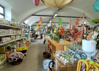 2_10 - Piante e Fiori via Generale Perotti, Grugliasco - foto 10