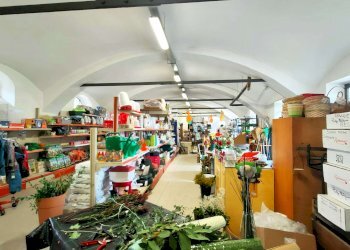 2_12 - Piante e Fiori via Generale Perotti, Grugliasco - foto 11