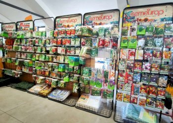 2_14 - Piante e Fiori via Generale Perotti, Grugliasco - foto 12