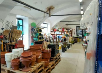 2_16 - Piante e Fiori via Generale Perotti, Grugliasco - foto 13