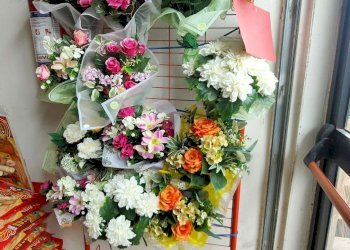 2_18 - Piante e Fiori via Generale Perotti, Grugliasco - foto 14