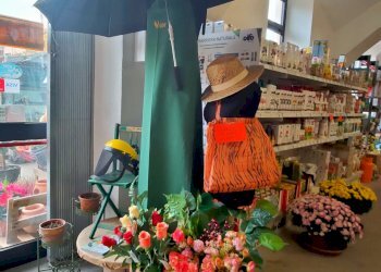 2_20 - Piante e Fiori via Generale Perotti, Grugliasco - foto 15